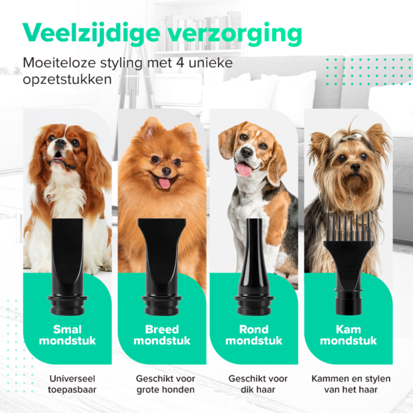 VivoPets Premium Hondenföhn - Stille Waterblazer met Badset - 4 Opzetstukken - Afbeelding 6